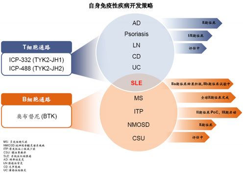 直擊業(yè)績說明會 摘 b 之后 現(xiàn)金玩家 諾誠健華想要成為生物制藥公司